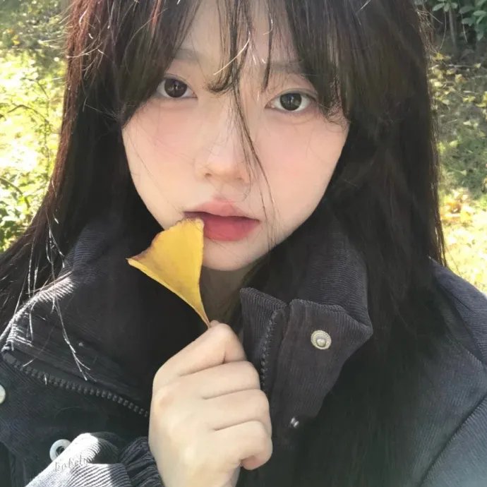 驯龙宝典